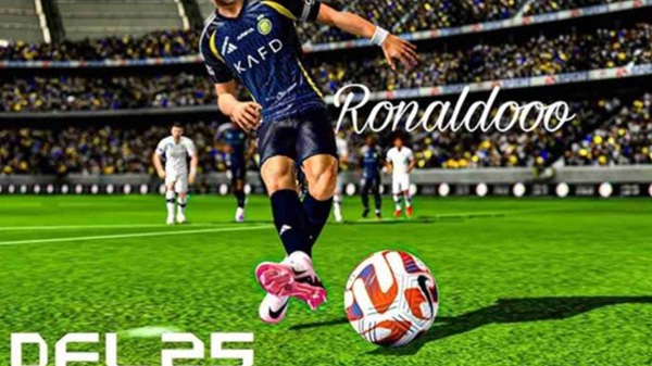 dfl 25 apk mobile